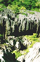 Die Kalksteinnadeln des Tsingy