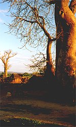 Dorf Masoarivo bei Belo