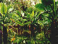 Bootsfahrt im Nahampoana Privatpark