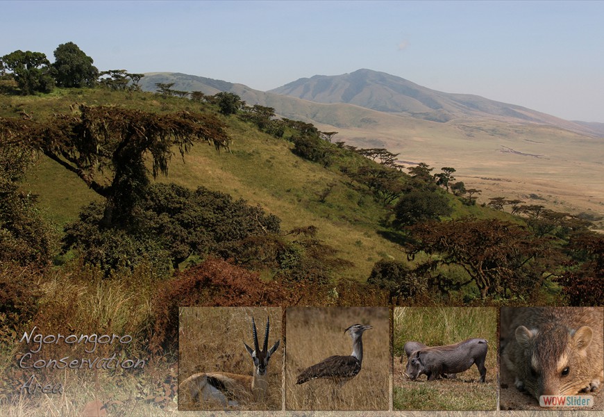Ngorongoro Krater