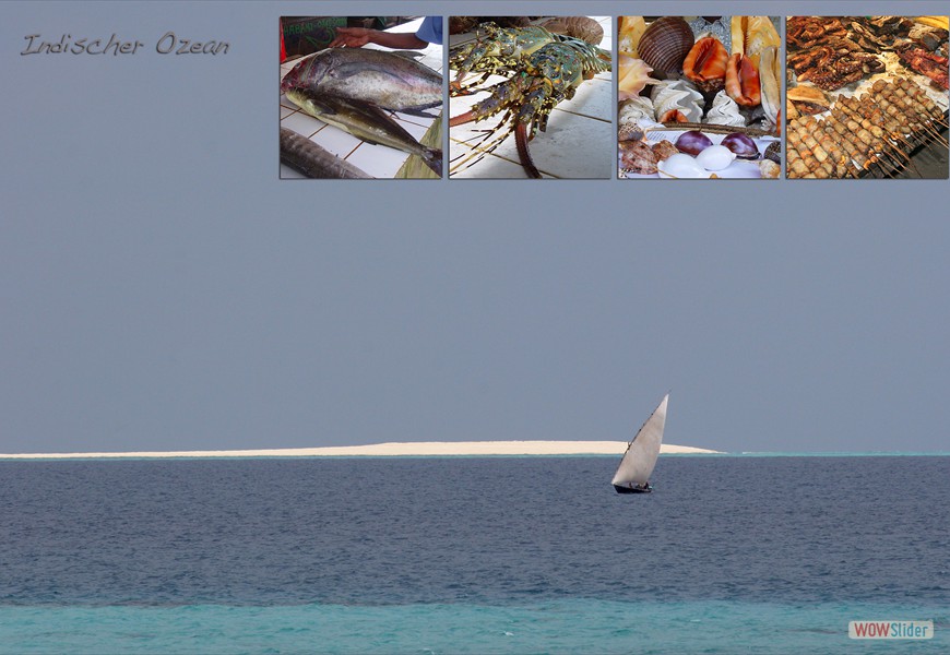 ocean_1