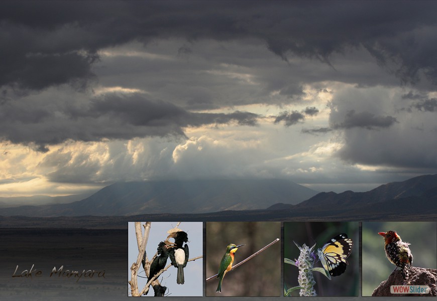 sunrise_manyara