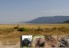manyara1