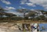 selous1