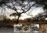 tarangire1