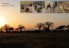 tarangire2